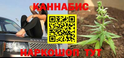 прущие грибы Малгобек