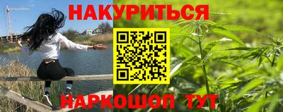 прущие грибы Малгобек